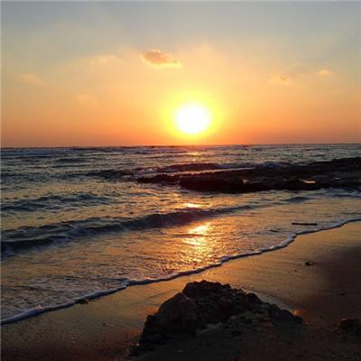 足球滚球的正规平台appapp下载