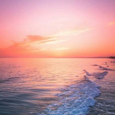 半岛全站app下载