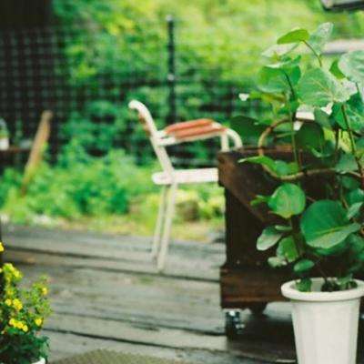 威斯尼斯wns888入口