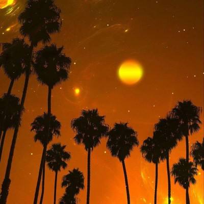 亚搏平台最新版app下载