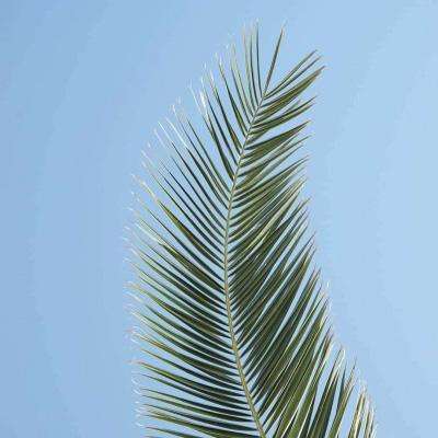 ku娱乐官网登录