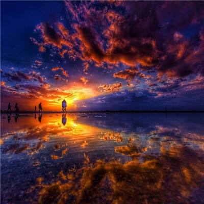 威斯尼斯wns888入口app