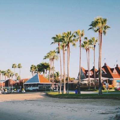 芒果体育app下载