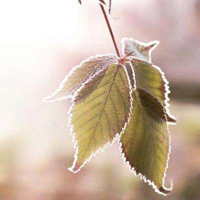 ManBetx万博全站APP最新版