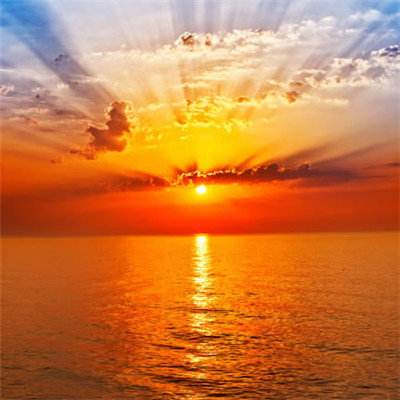 KOKapp下载手机版